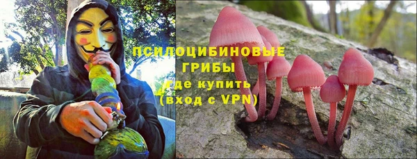 крисы Воткинск
