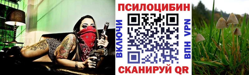 Галлюциногенные грибы Cubensis  купить  сайты  Райчихинск 